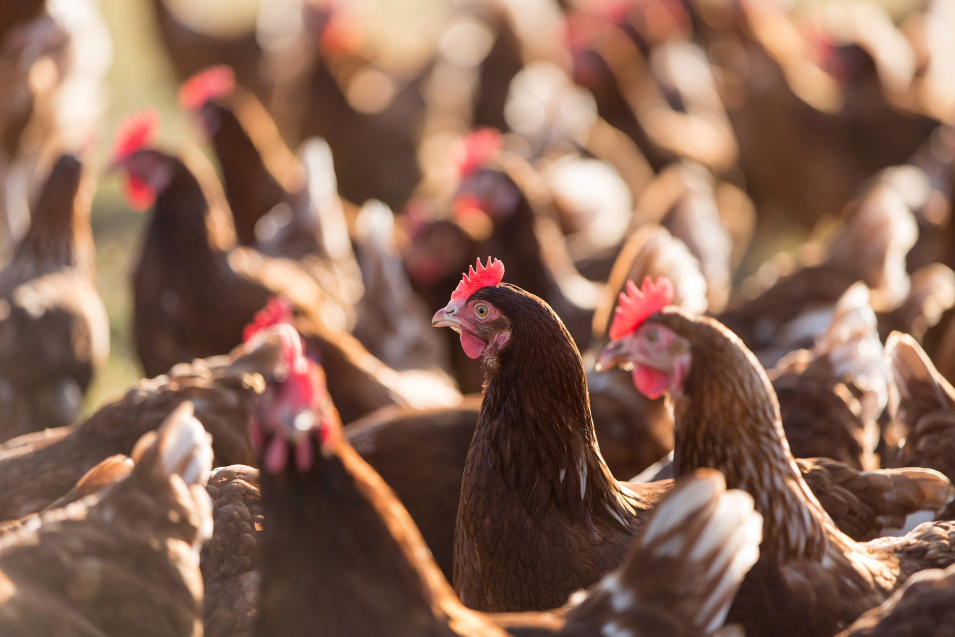 Teaserbild Praxis Pöppel GmbH